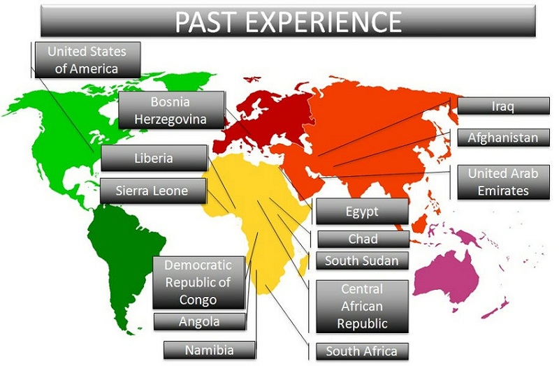 Past Performance Graphic